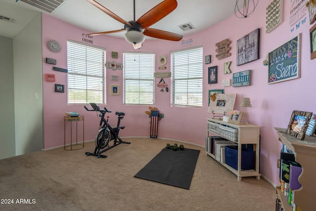 workout area featuring plenty of natural light, ceiling fan, and carpet floors