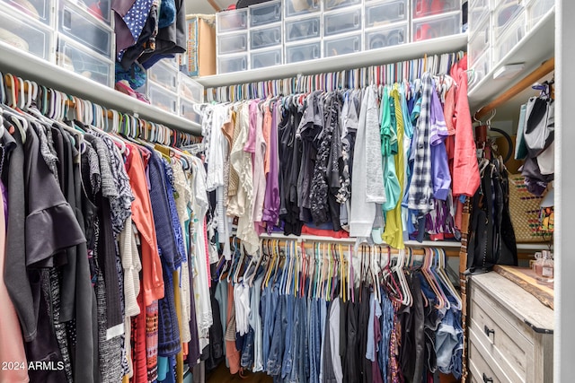 view of spacious closet