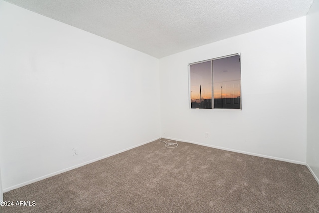 carpeted spare room with a textured ceiling