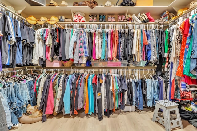 spacious closet with wood finished floors