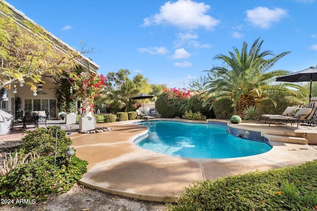 view of swimming pool featuring a patio area