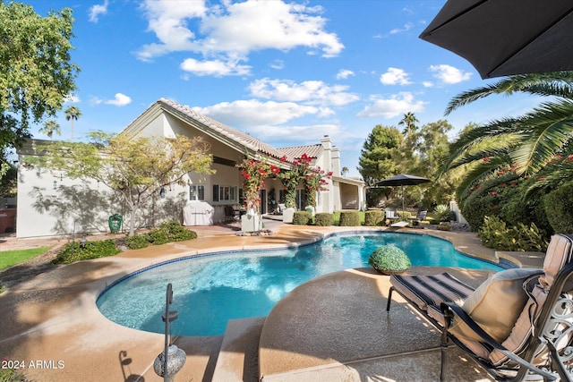 view of swimming pool featuring a patio area