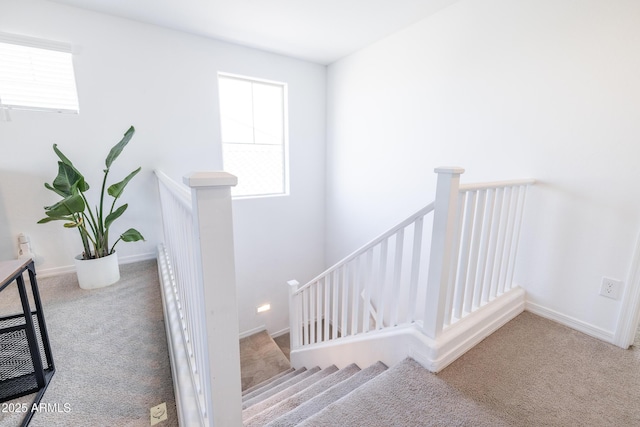 stairway featuring carpet flooring