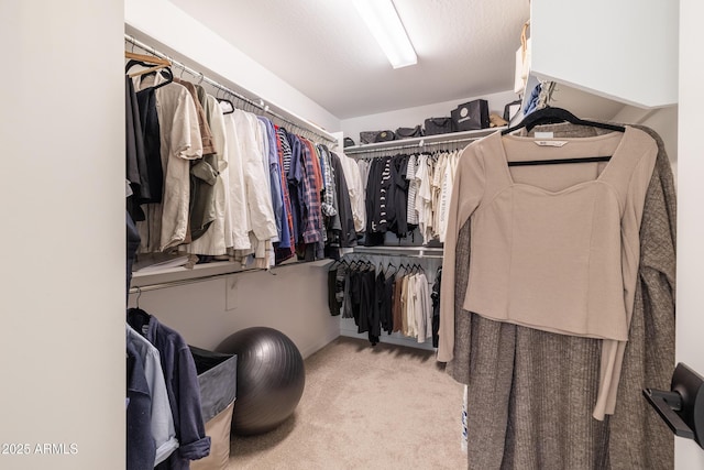 spacious closet featuring light colored carpet