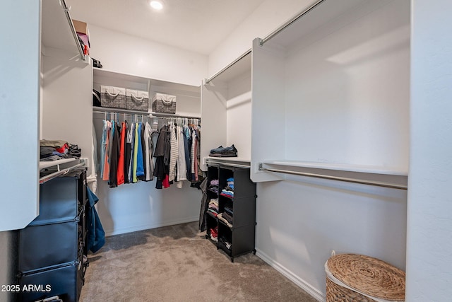 spacious closet featuring light carpet