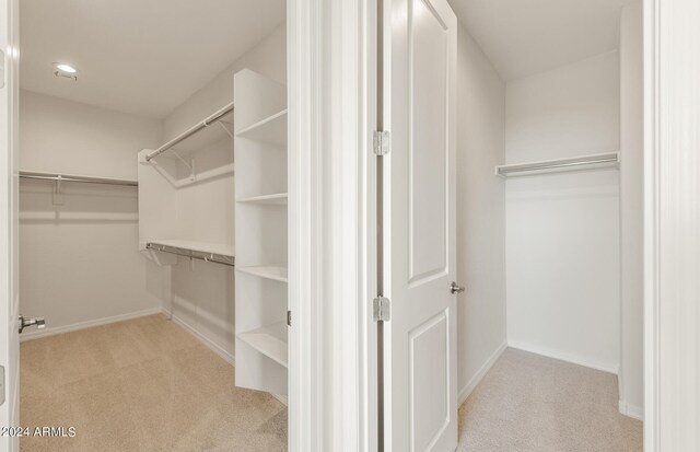 spacious closet with light carpet