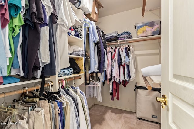 4441 E Desert Wind Dr, Phoenix, AZ 85044 - spacious closet featuring carpet