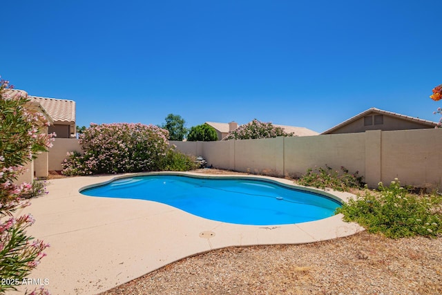 4441 E Desert Wind Dr, Phoenix, AZ 85044 - view of pool with a fenced backyard and a patio