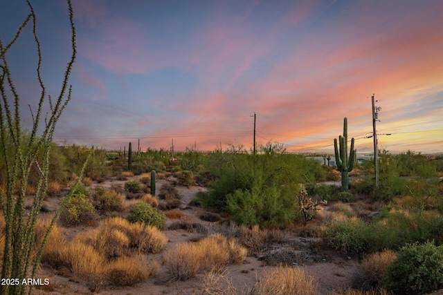 view of nature at dusk