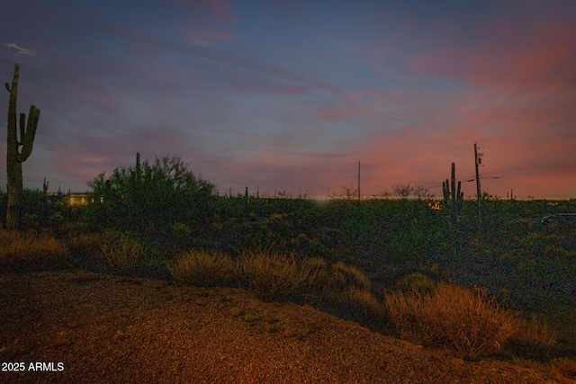 view of nature at dusk