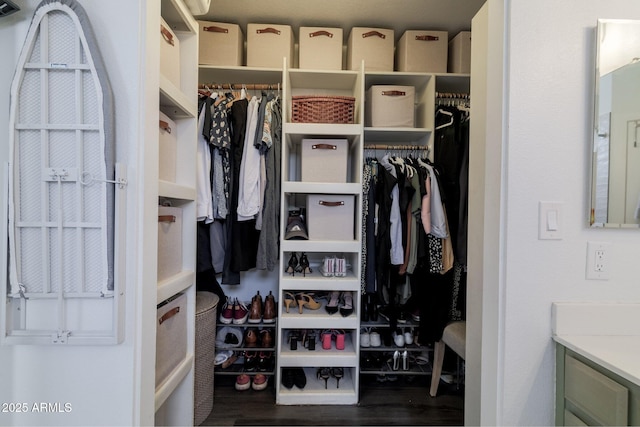 4313 E Briarwood Ter, Phoenix, AZ 85048 - view of closet