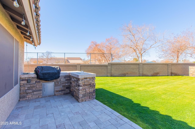 view of yard featuring an outdoor kitchen and a patio area