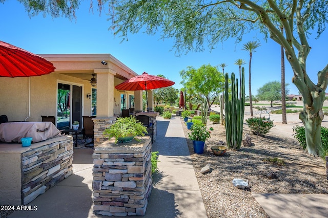 exterior space featuring a patio area and ceiling fan