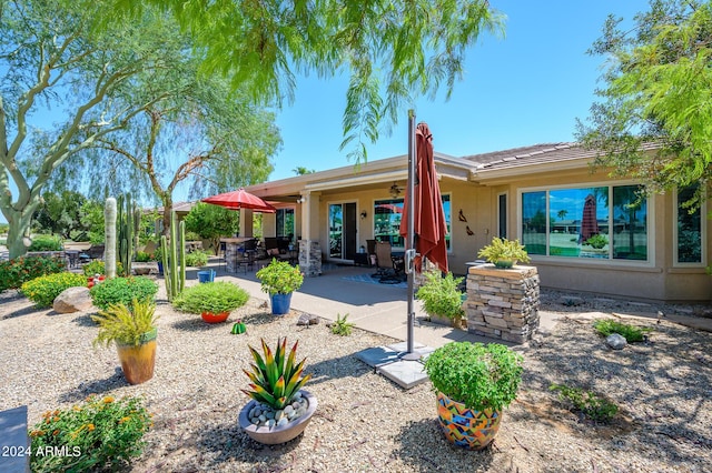 back of property featuring a patio area, ceiling fan, and stucco siding