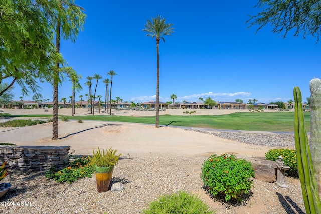 view of community featuring a lawn