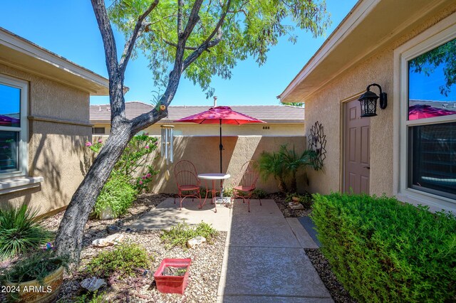 view of yard featuring a patio area