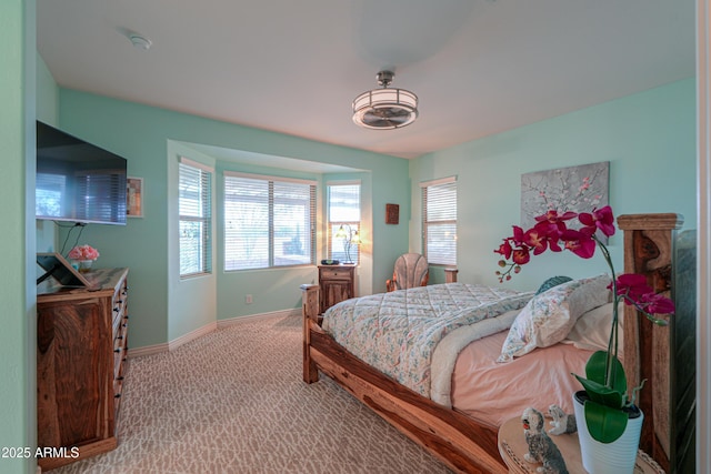 bedroom with carpet floors