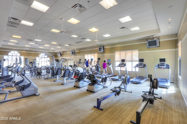 workout area featuring plenty of natural light, light carpet, and a drop ceiling