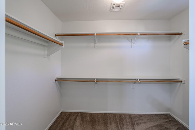 walk in closet featuring carpet flooring and visible vents