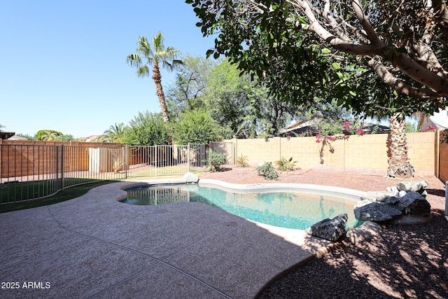 view of swimming pool featuring a patio area, a fenced backyard, and a fenced in pool