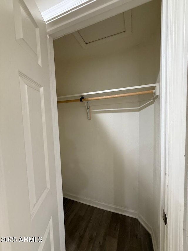 view of closet