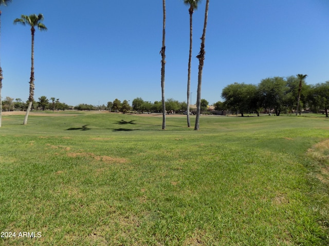 view of home's community with a yard