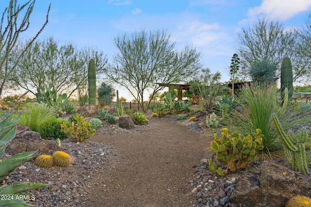 view of yard at dusk