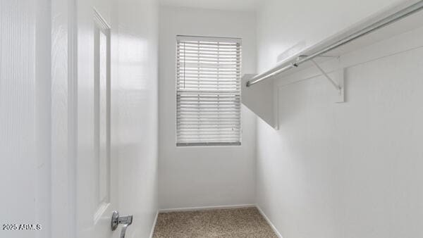 15105 W Glenrosa Ave, Goodyear, AZ 85395 - spacious closet featuring carpet