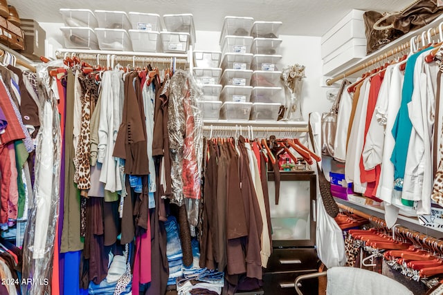 view of spacious closet