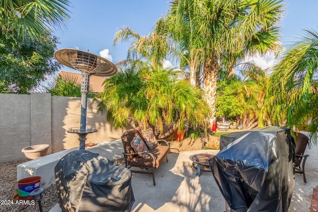 view of patio / terrace featuring grilling area