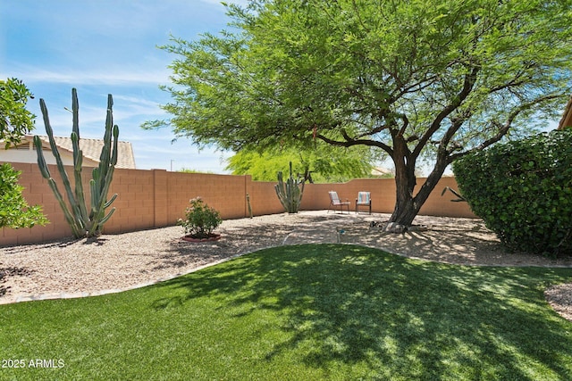 4401 E Barwick Dr, Cave Creek, AZ 85331 - view of yard