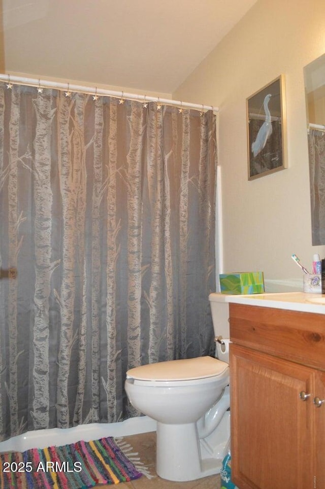 221 N Mountain Rd, Apache Junction, AZ 85120 - bathroom with toilet and vanity