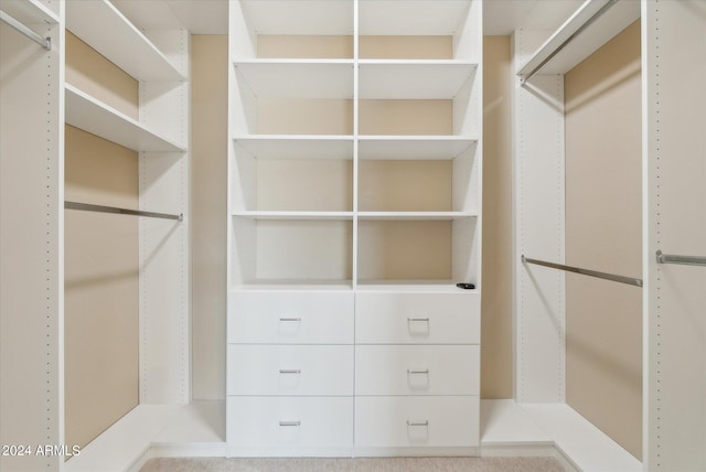 spacious closet featuring carpet