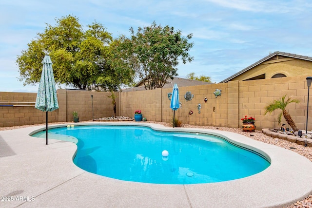 view of pool with a fenced backyard and a fenced in pool