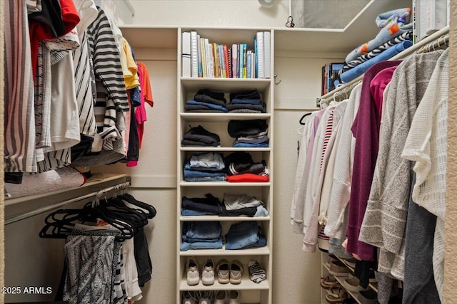 11025 E Nichols Ave, Mesa, AZ 85209 - view of spacious closet