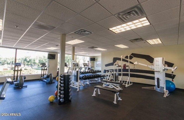 workout area featuring a drop ceiling and a wall of windows