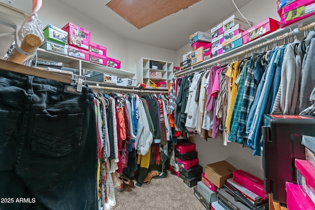 spacious closet featuring carpet flooring