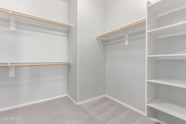 walk in closet with carpet flooring