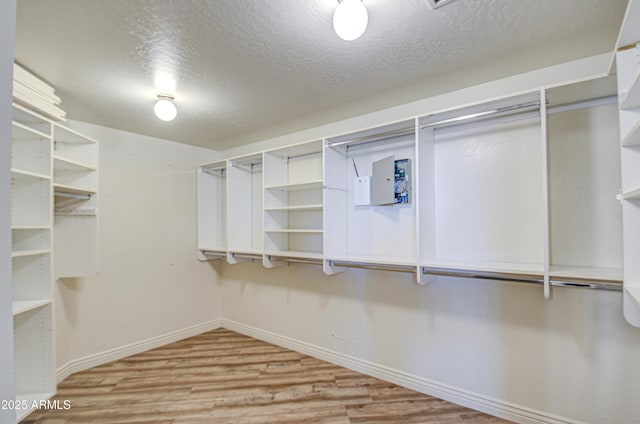 walk in closet with light wood finished floors