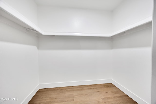 walk in closet featuring wood finished floors