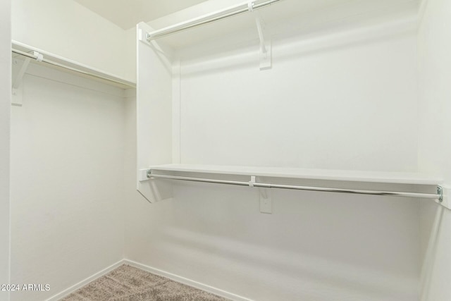 spacious closet featuring carpet floors