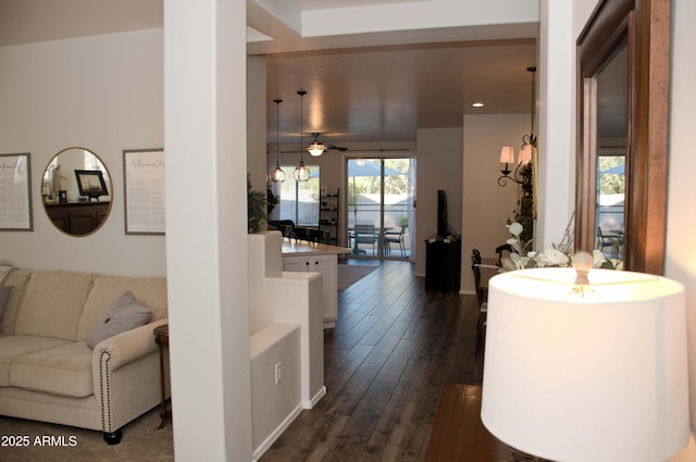 hallway featuring dark wood-type flooring