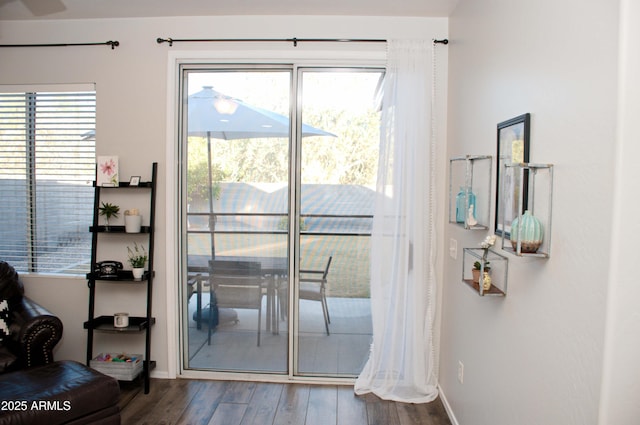 entryway with wood-type flooring