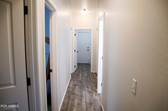 hall featuring wood-type flooring