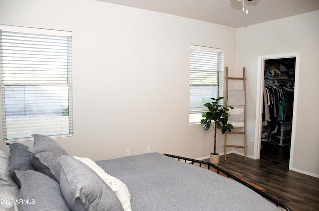 bedroom featuring a walk in closet, dark hardwood / wood-style floors, and a closet