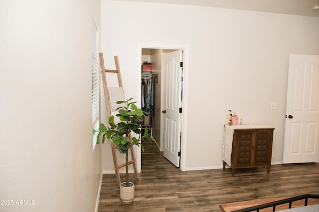 hallway featuring dark hardwood / wood-style flooring