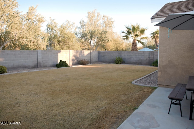 view of yard featuring a patio