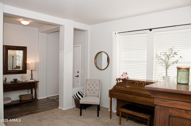 sitting room with carpet floors