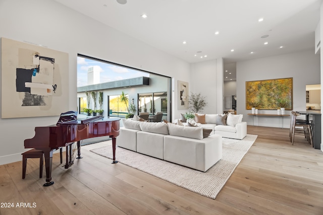 living room featuring light hardwood / wood-style flooring