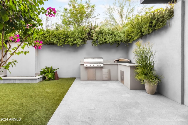 view of patio / terrace with area for grilling and exterior kitchen